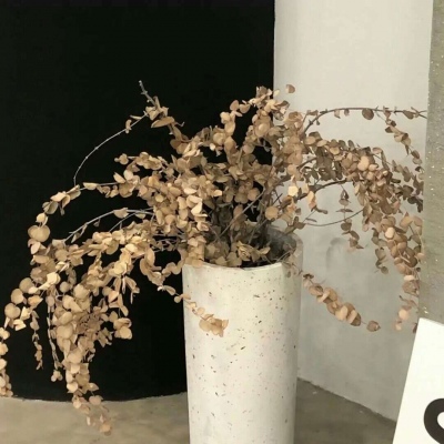 托里FurryQQ群介绍